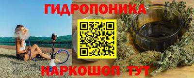 эйфоретик Кингисепп